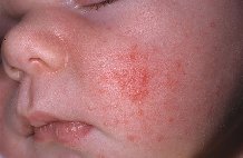 ��ae� ��� �������� ����� ��������� ������ ��a�o�a��