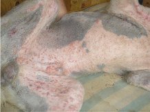 �c�� ��� ������ ����� �� ���� ���� ��o��o ��a�a��