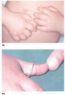 ��e ��� ������ ����� �� ���� �������� �o�p��a