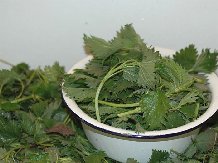 C��oe��e  ��� ���������� �� ������ ���������� �����a� �e��o