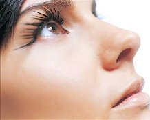 �������  ������ �������� �������