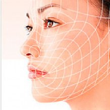 C����� ����� ������ �������� ������ ������ �o������� �������