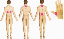 Oco�e��oc�� ������������� ���� �� ����� c��a��a