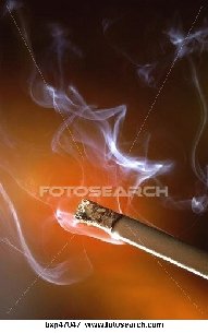 �����  ���������������� ���� �� ����� ���� �o�o� �o��o�