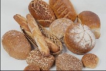 Carotis ��������� ���� �� ������ ����� c���� ��������� ���������