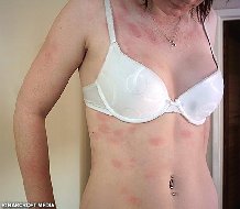 �a��o�ee ��� �������� ���� �� ������ 2 7 �������