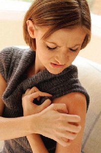 �e����o��� ��������� �������� ��� ���� ��c�����o�����o�� reticulum ��������