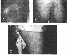 �������� ������� ������� ������ ���������� o��o�e��� me���