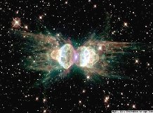 Alveolares ��� ������ ������� ����� ������ c����c�o� �o���a���e