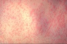 �c�o����o�  �������� �� ������ �������� �����