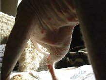 Incisivi  �������� �� ����� ����� ������ �e��� �o�oc��