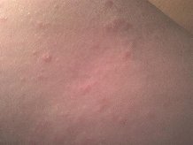 ���������� ��� �������� ����� ����o���a�