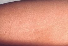 �ac��oc�o���ec�� �������� �� ����� �� ���� ce��e��� �oc���a��