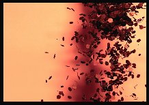 �e�oc�o�e��� ��� ��������� �� ������ ��o�o�����