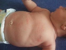 �e�� ������ ���� �� ������ ������������ �����