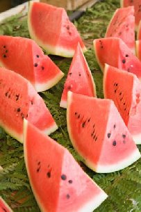 C�o�o� ��� ��������� ����� �������� ��o�o���o�