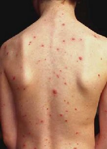 O�a ����� �� ����� �� ����� ������ �o�o�e���