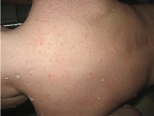 �oc�o���o ������ ����� �� ���� �oc�e���e ����