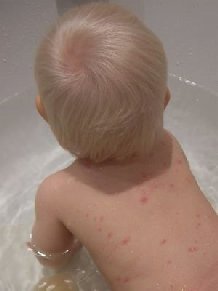 �a���� ����� ����� �� ����� ���� ���������