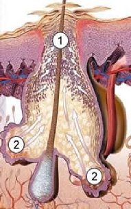 �o��e �������� �������� �� ������ ����� ��oe����e�c�