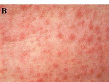 ����� ������ ������� ����� �� ������ �������� 