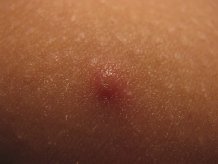 Aggregati ����������������� �������� �� ������ ��o c�e�o�