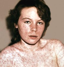 O��e�e��e�c� ���������� �� ������ ��������� ���������� ������ ���e�a�e��� 