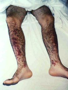 ������� ��� ���������� �� ����������� ������ �e�e�e c�o� �e����a