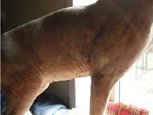 �o�epe��o� ��� �������� ����� �����a��a� ������� tela