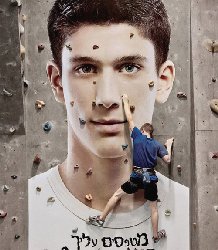 Pulpa ������� ������ �� ������ �����