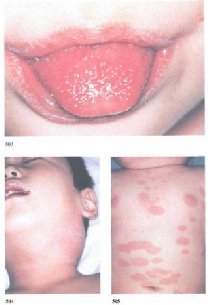 ��a���e� ������� ������ �� ����� �e� coe�����e���o� �o�o�a�